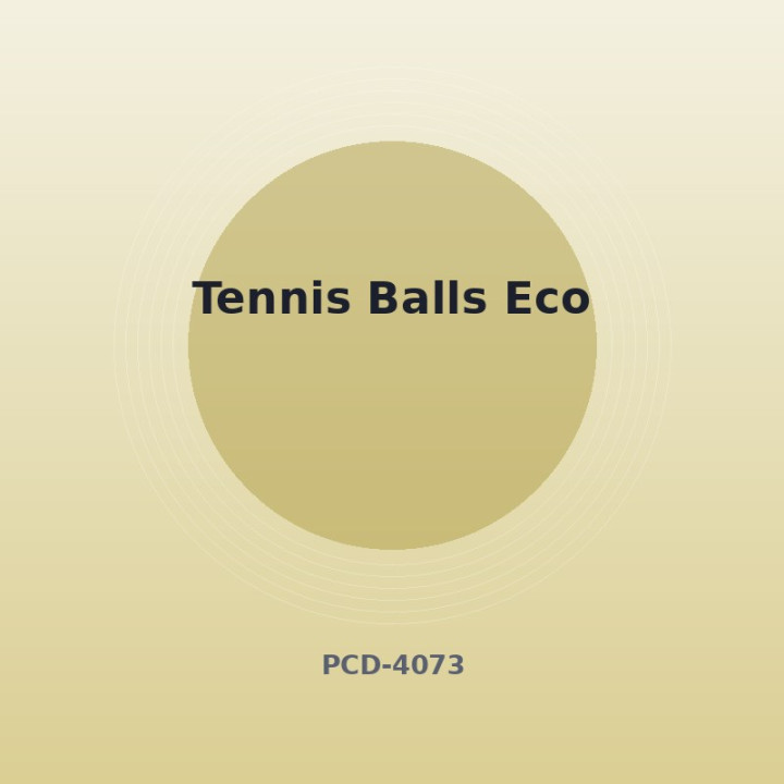 Balles de tennis Éco
