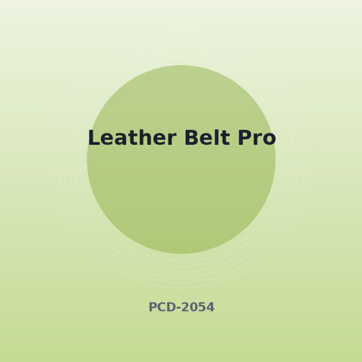Ceinture en cuir Pro